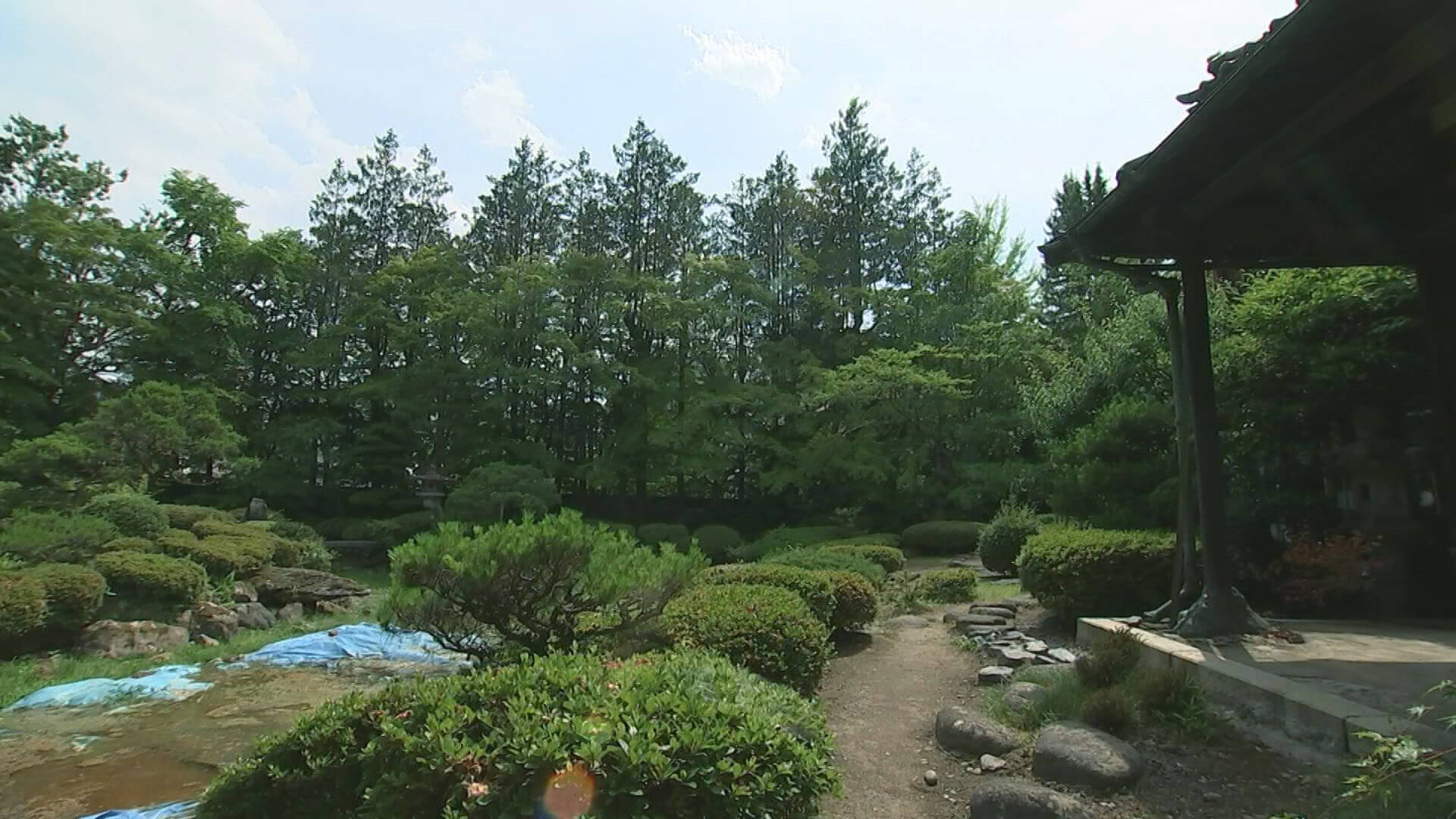池を広く見せるため、池周辺には背丈のある草木は置かず、一尺程のツツジの刈り込みを散らばせ、
あるいはハイマツ、オザサなどで岩の色と調和させている。中央には、大きな起伏の二石が立てられ、これが庭の品格を一層豊かにし、その背後に
美しい枝を張る松があり、庭の主木となっている。